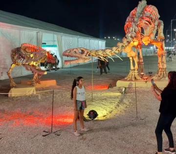 DCC070125-002F07-360x315