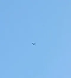 Screenshot_20251205-143941-388