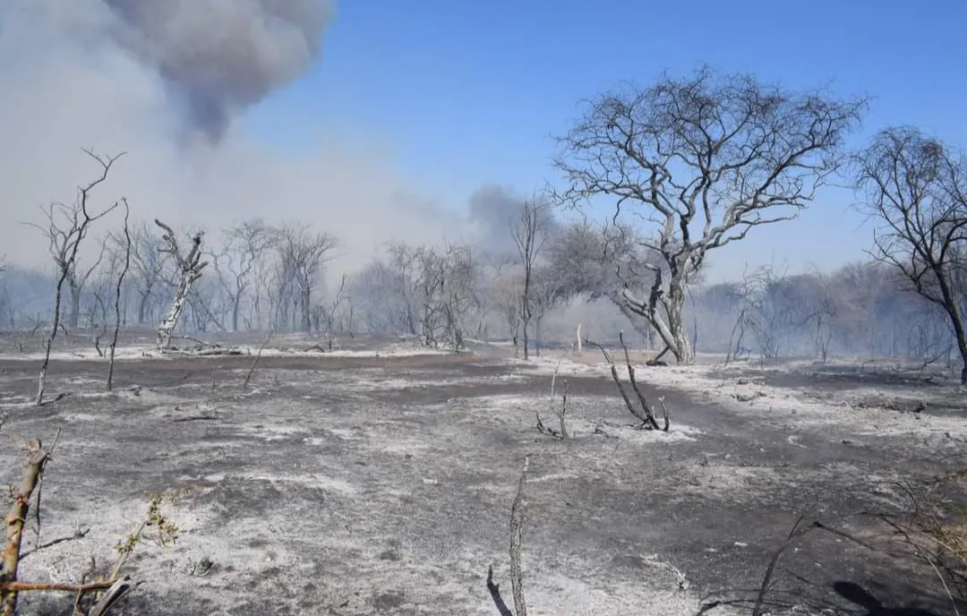 Screenshot_20240919-205507-713