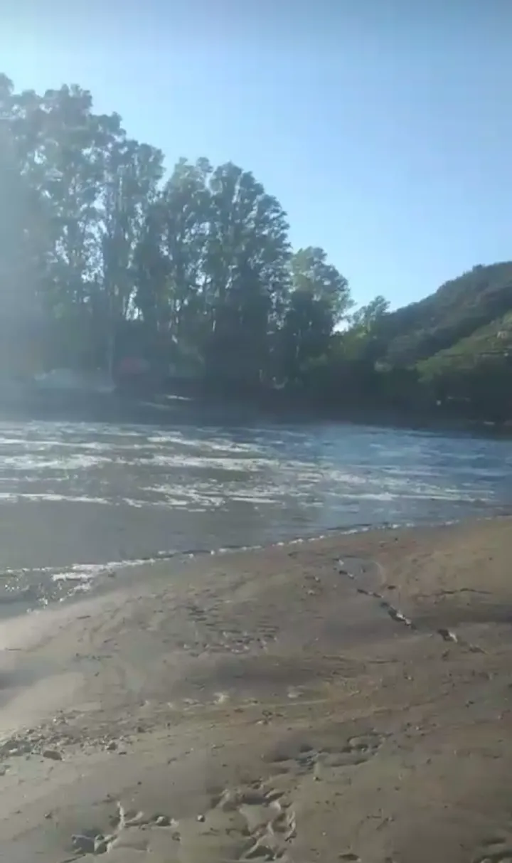 Screenshot_20250126-091723-254