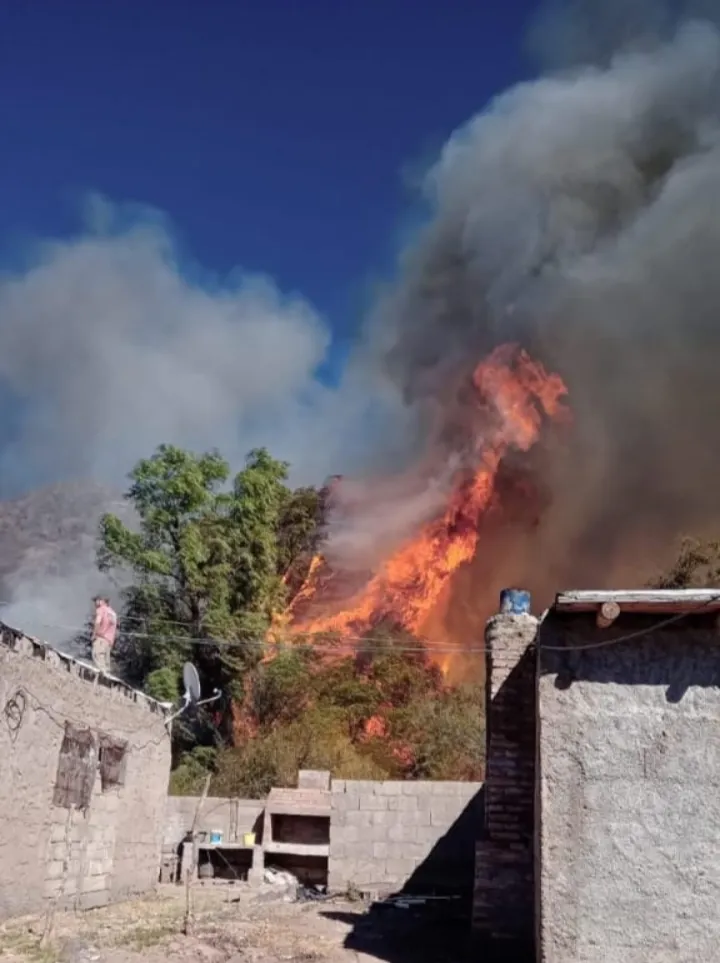 Screenshot_20250910-124445-995