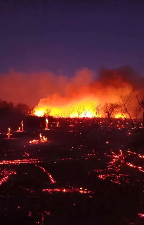 Screenshot_20240919-203356-364