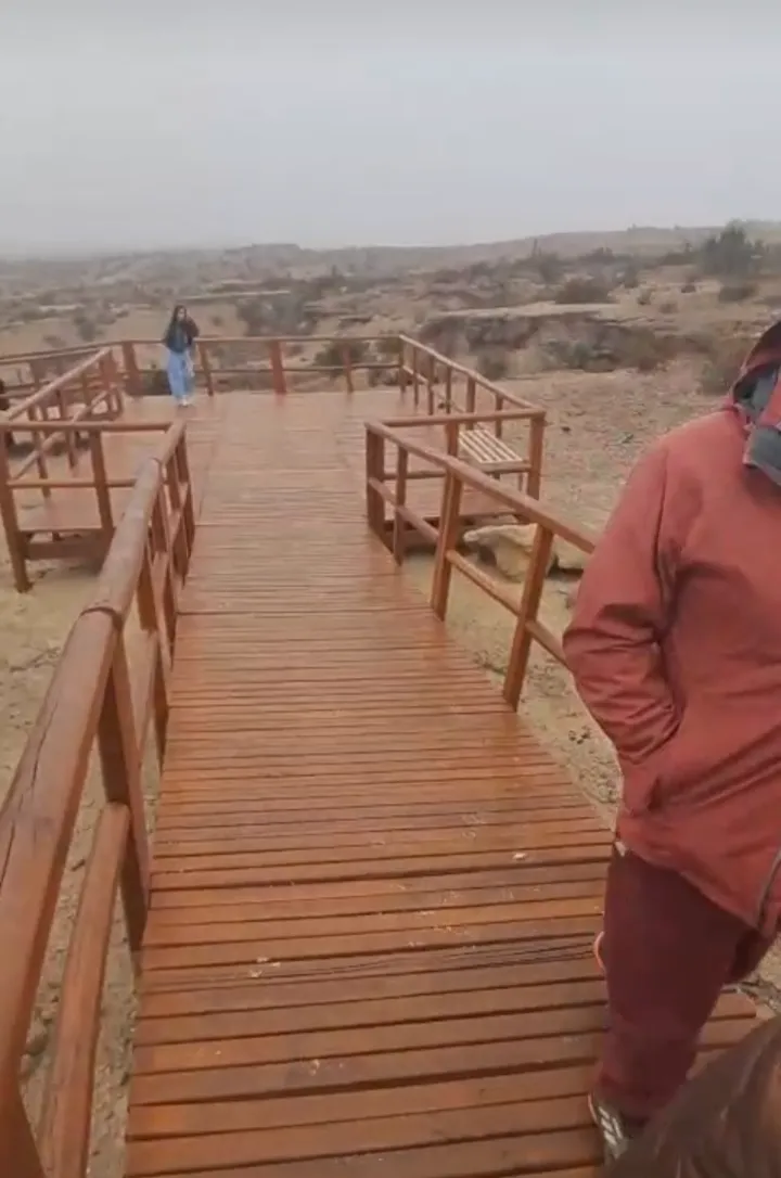 Screenshot_20250629-195530-521