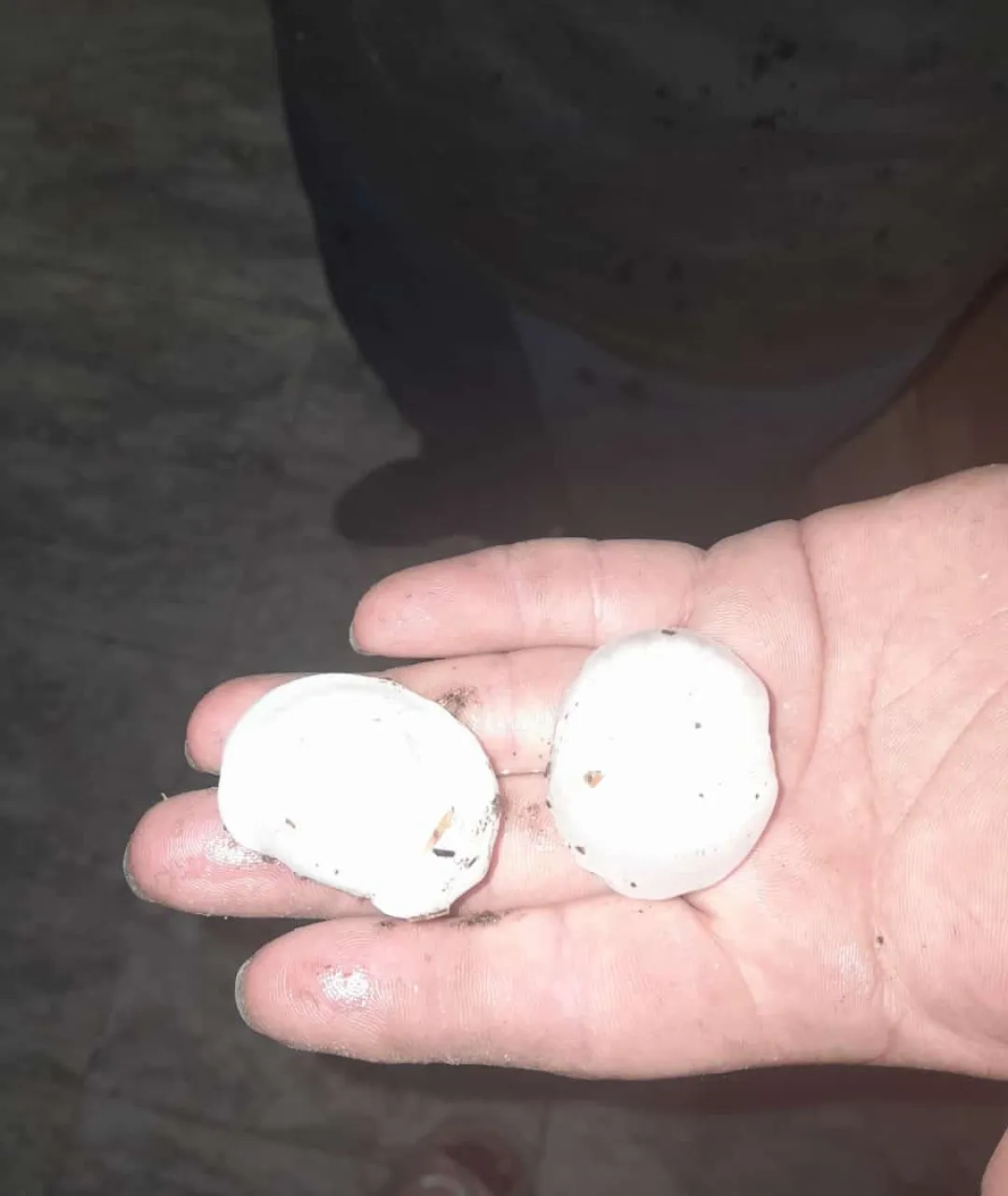 Screenshot_20241031-214046-905