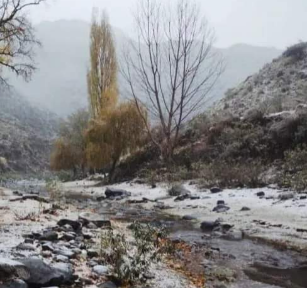 Screenshot_20240525-123533-034