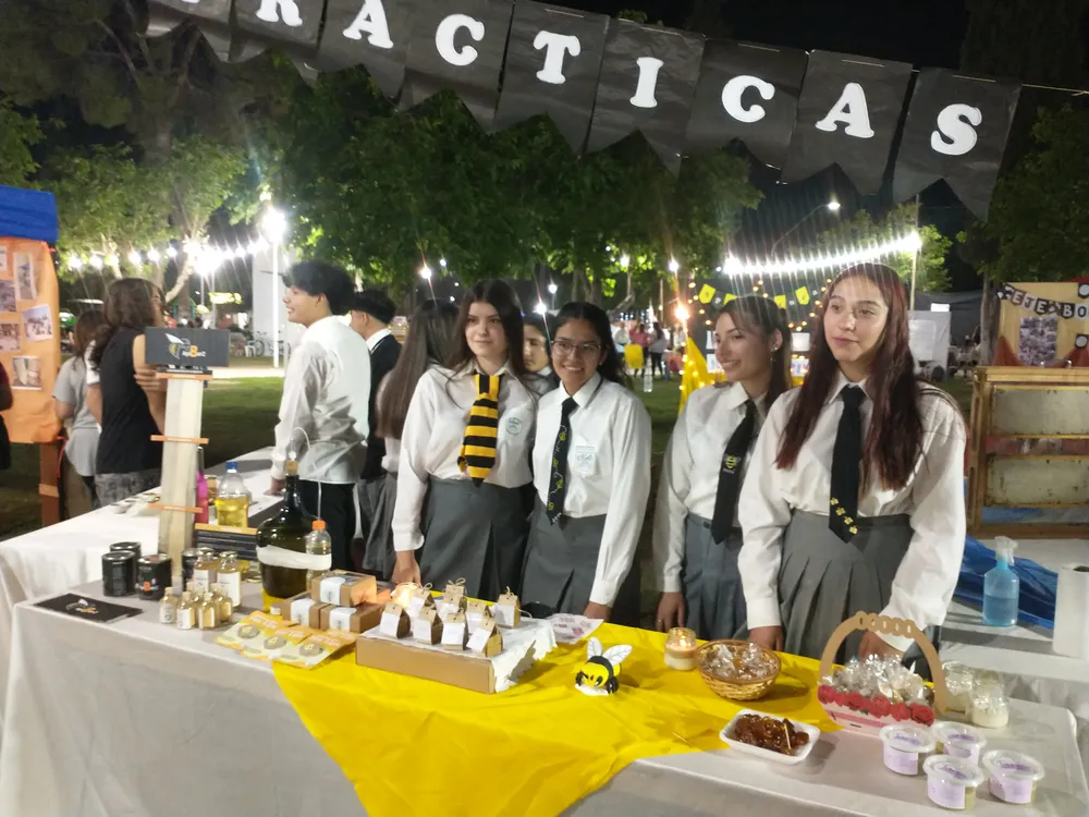 IMG_20241108_205409909