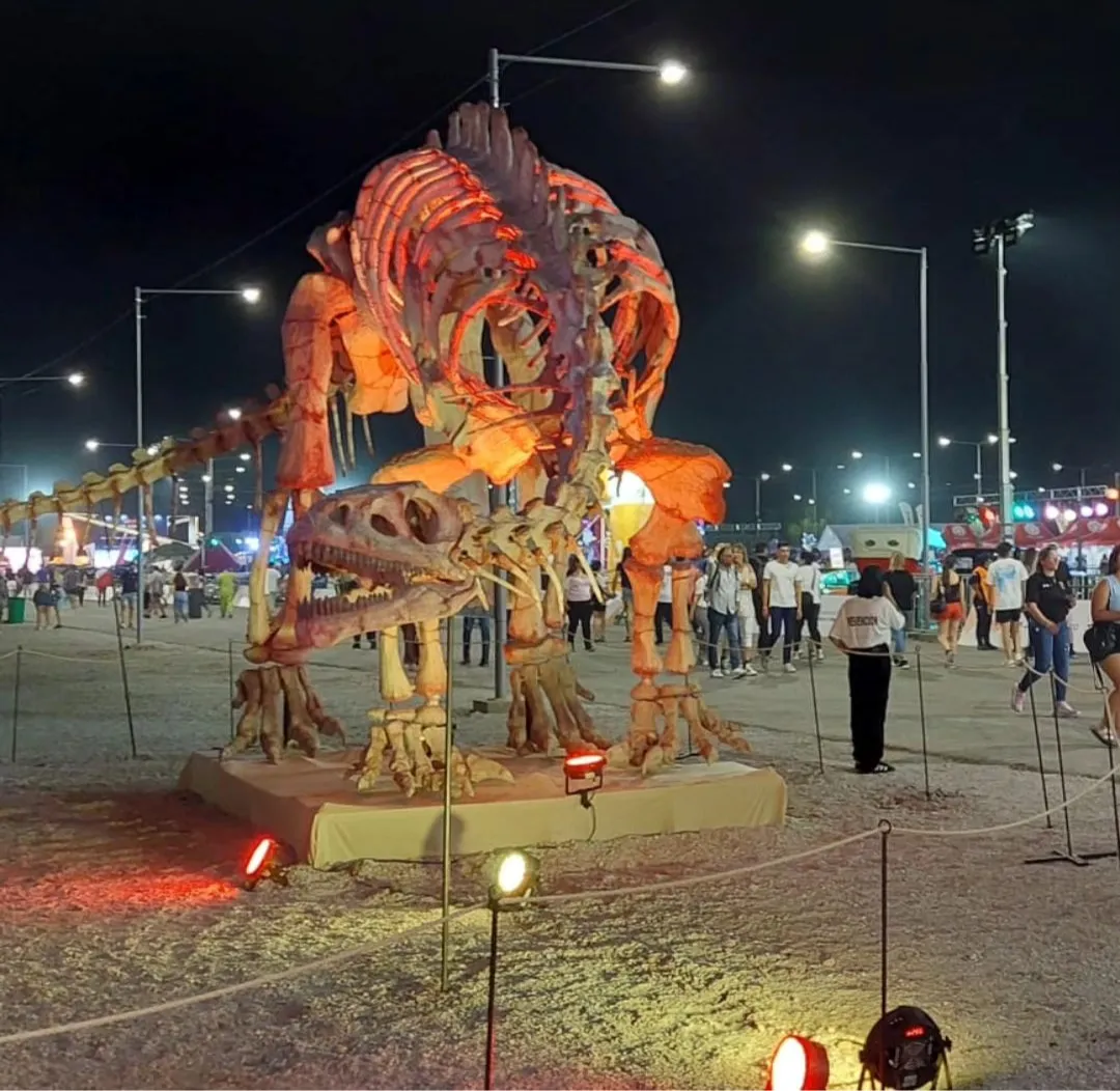 Screenshot_20241101-234315-009