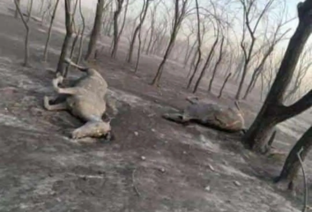 Screenshot_20240919-203537-677