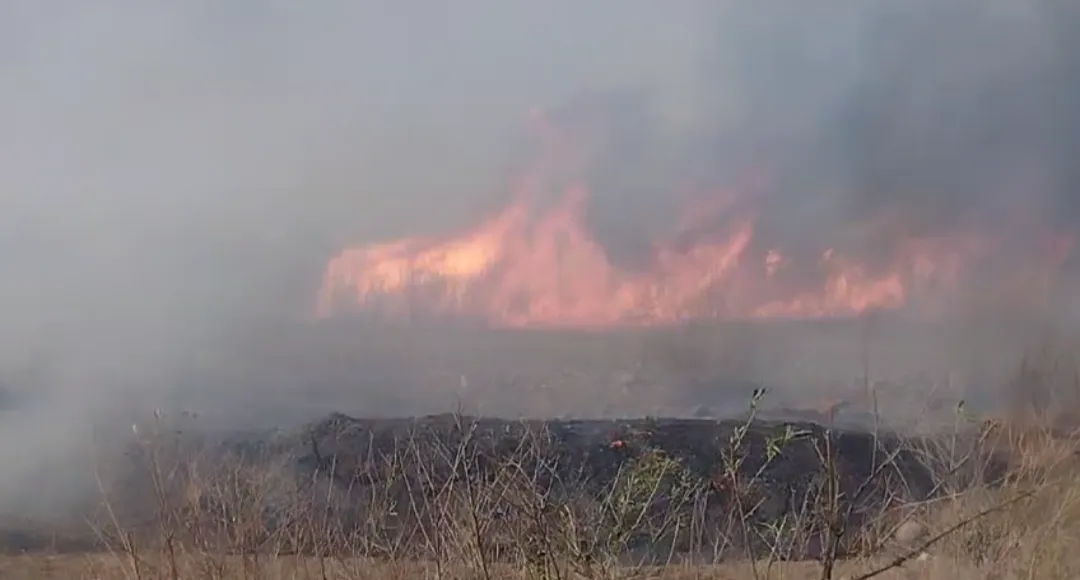 Screenshot_20240919-200912-019