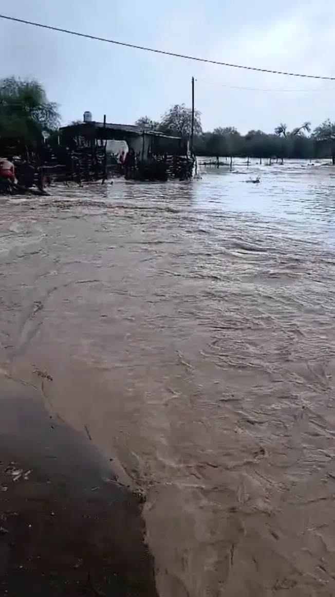 Screenshot_20260108-210139-954