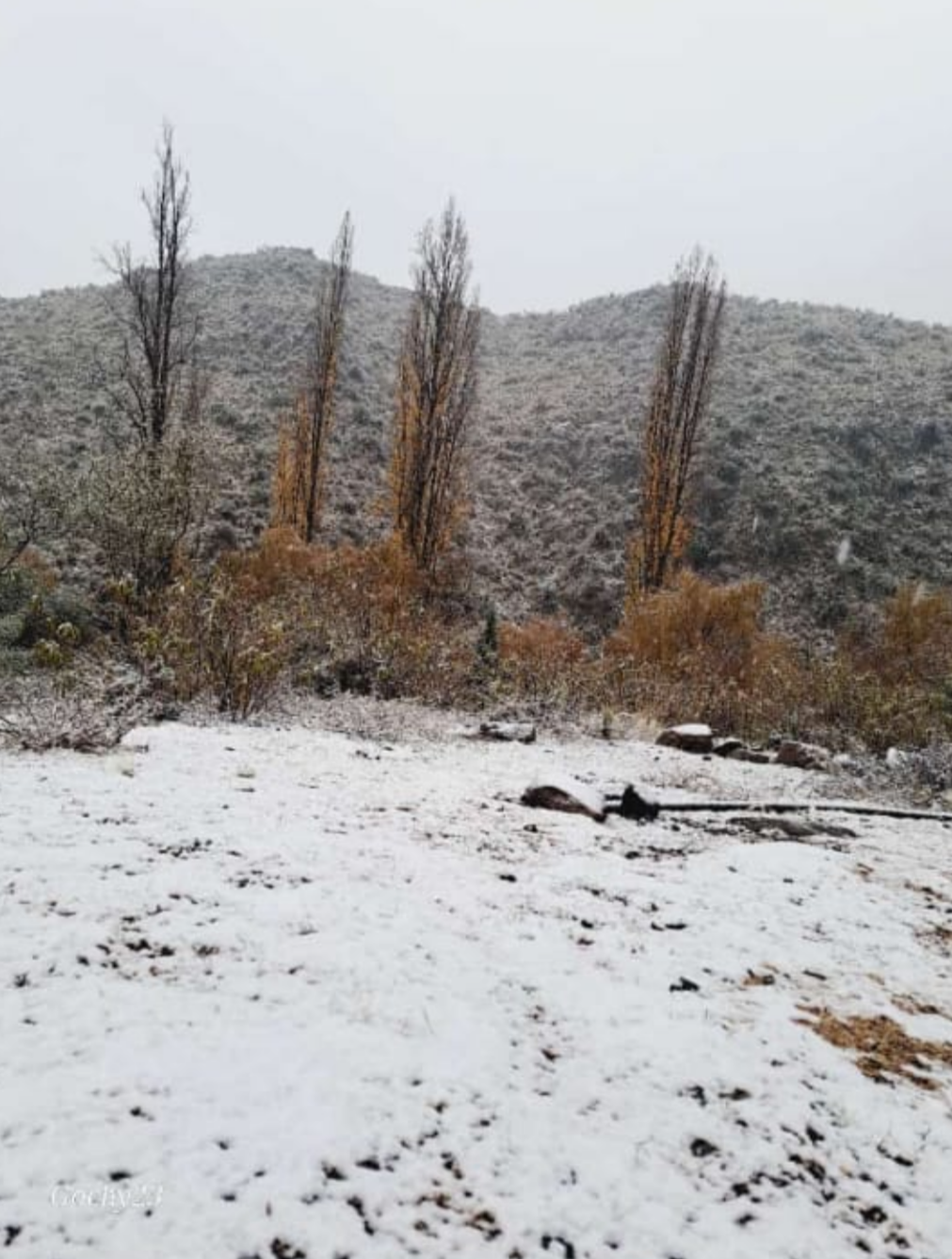 Screenshot_20240525-123613-717