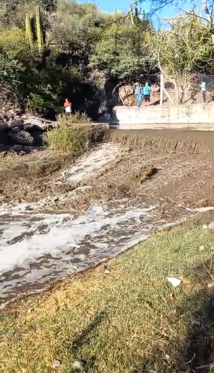 Screenshot_20250126-094356-889