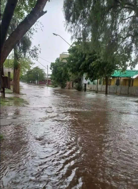 Screenshot_20241017-143208-327