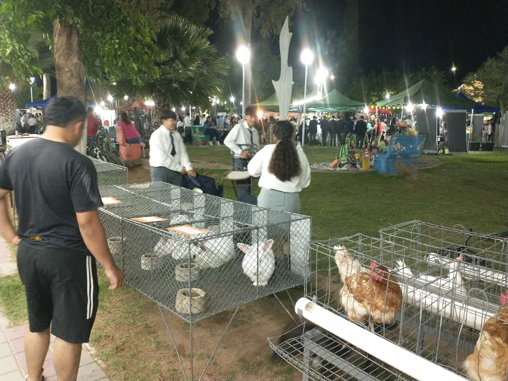 IMG_20241108_204818397