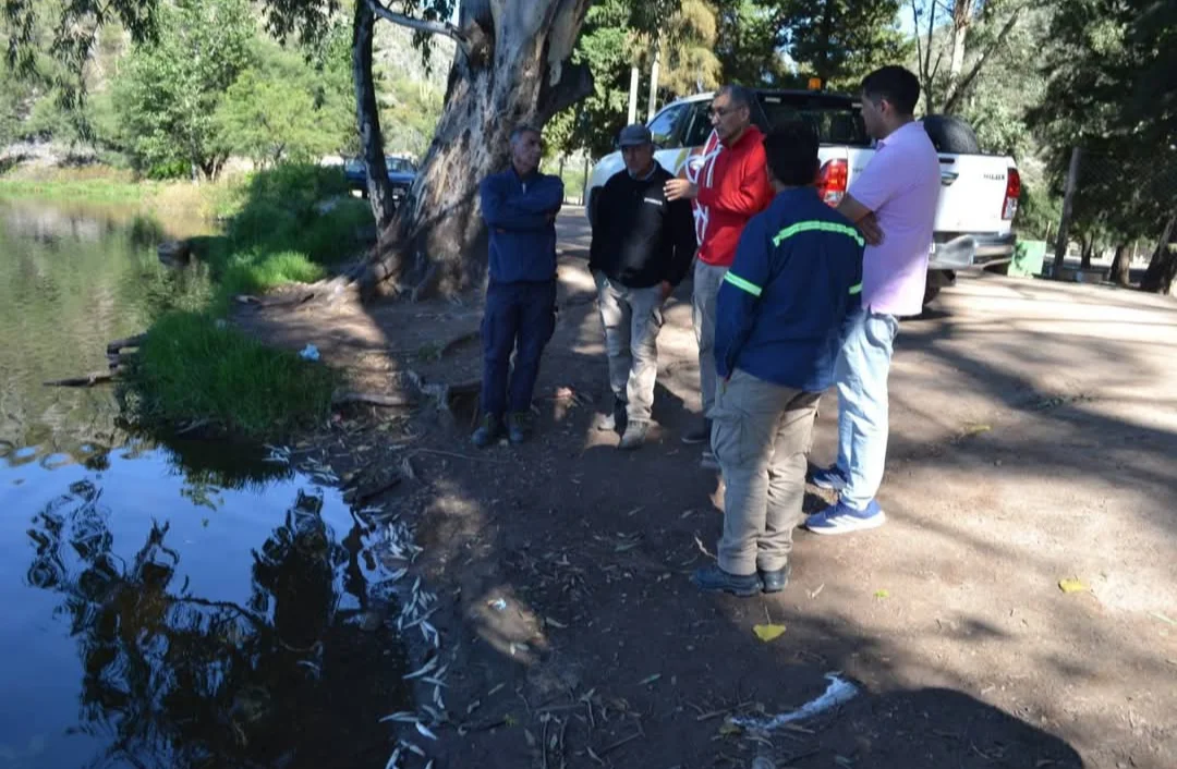 Screenshot_20260408-171730