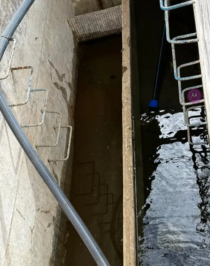 Screenshot_20241209-140401-553