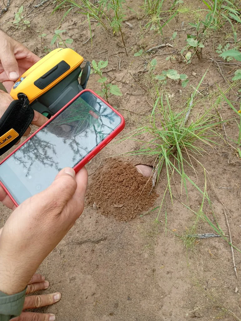 55151845032_d49a59bf8f_b