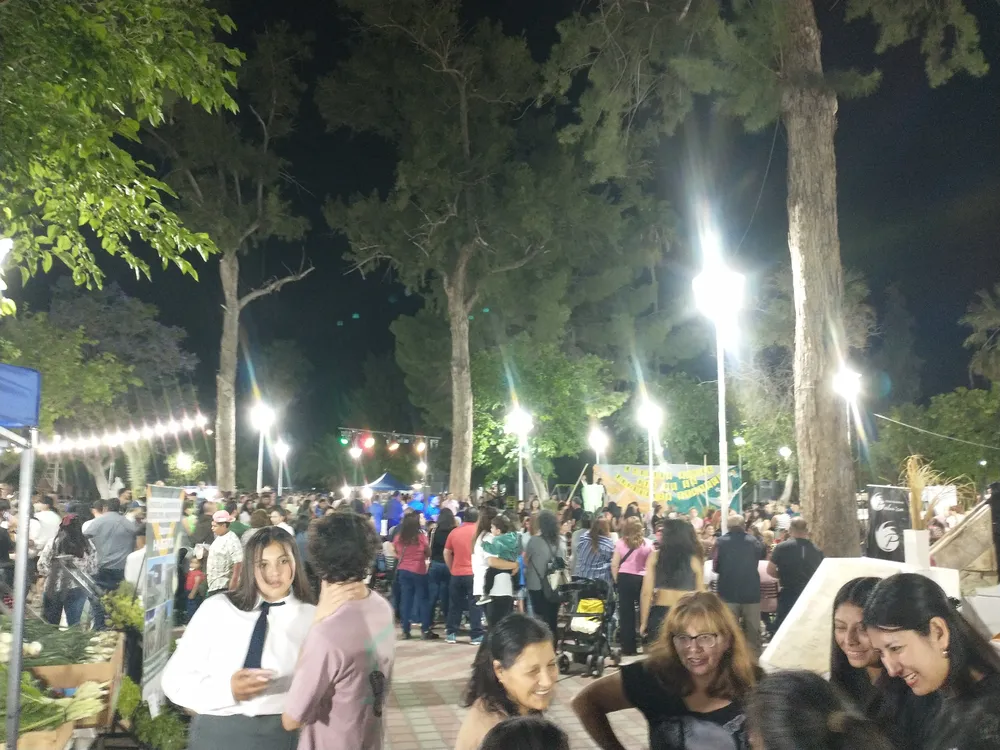 IMG_20241108_205551848