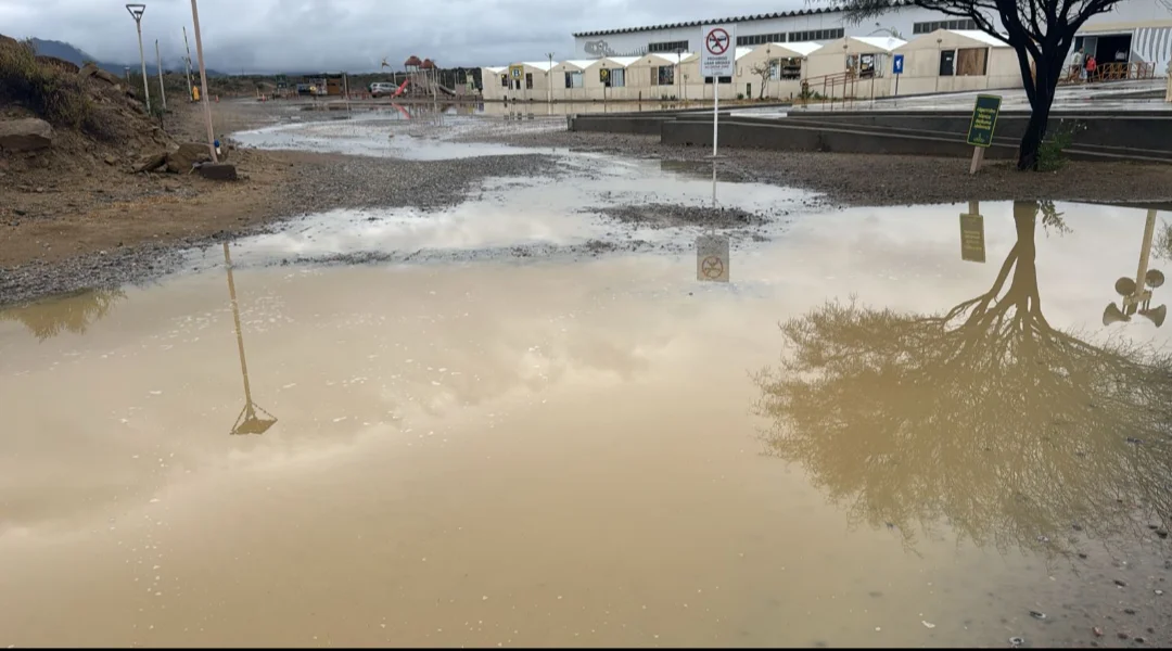 Screenshot_20260404-184525