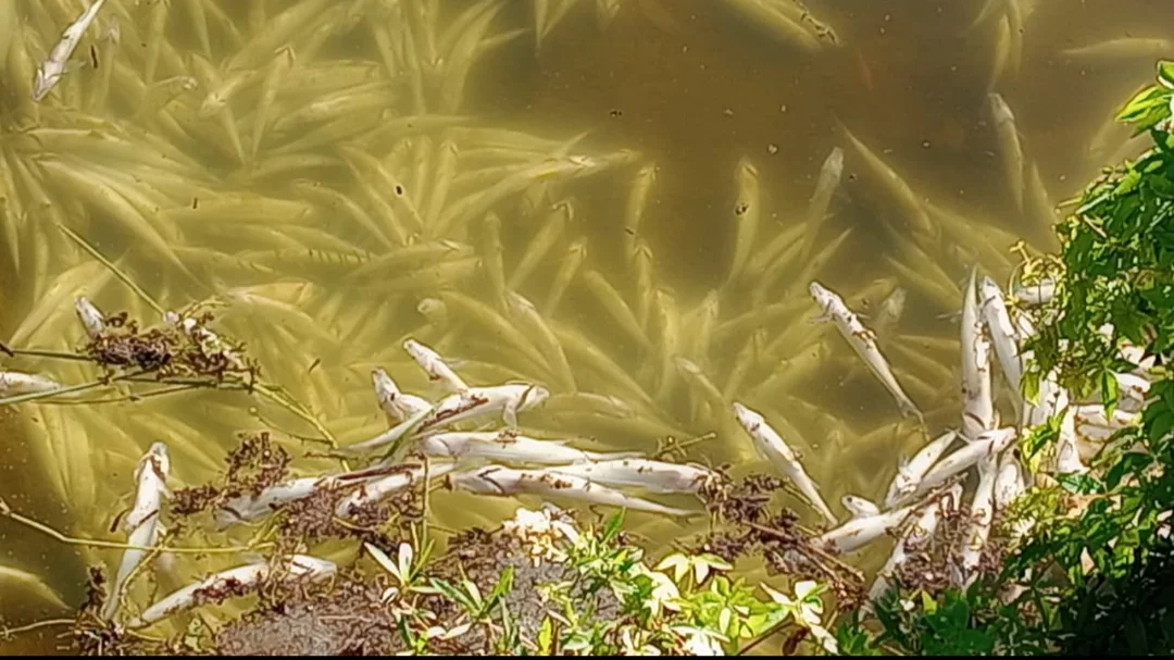 Screenshot_20260408-142812