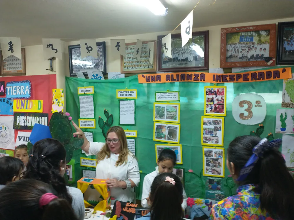 IMG_20241107_101246349