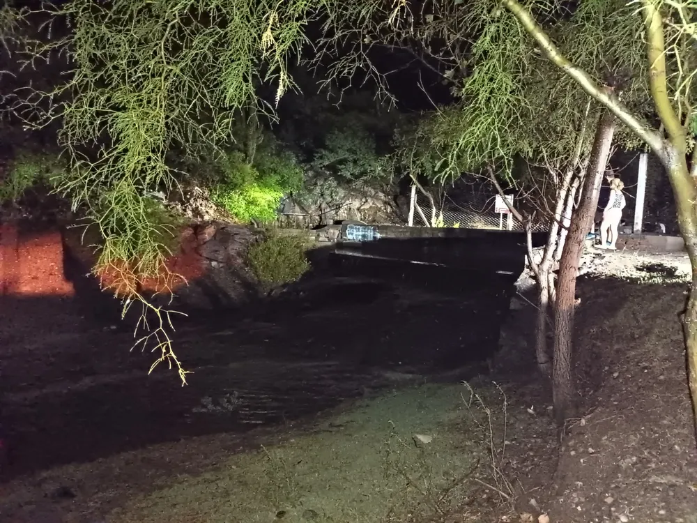 IMG_20250126_014447238