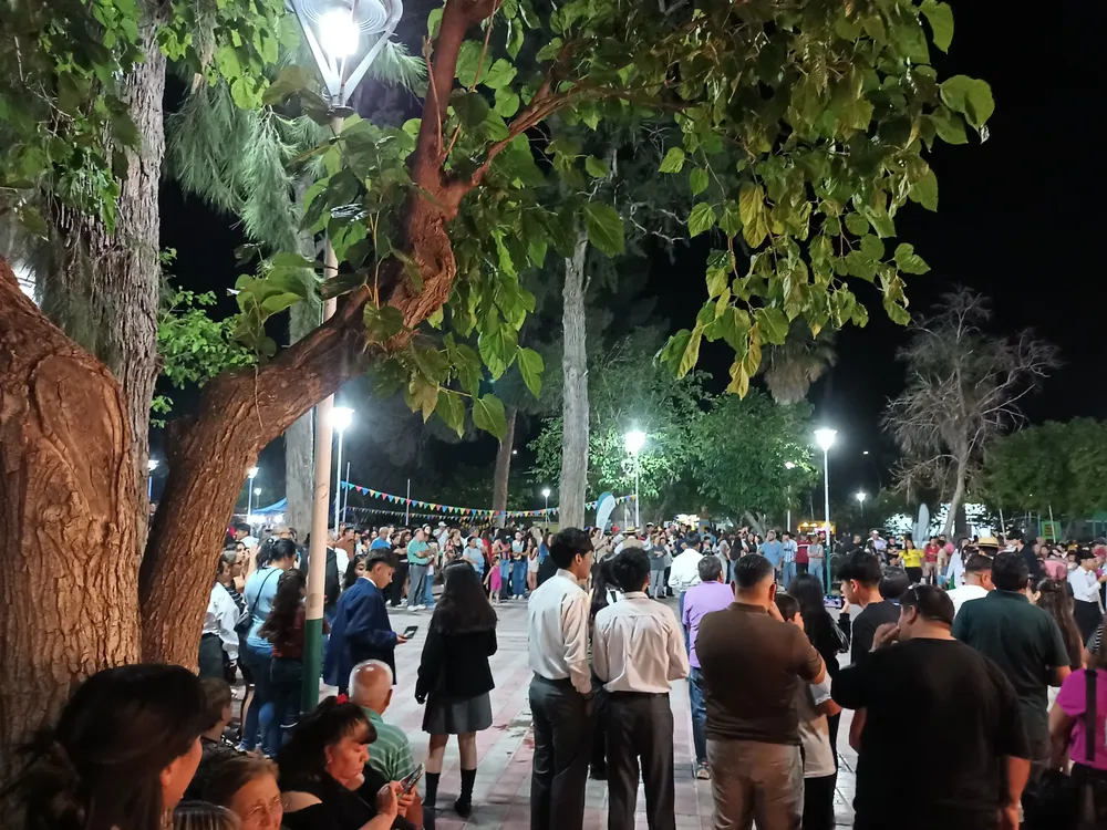 IMG_20251117_215028656