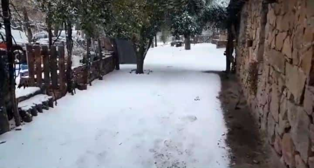 Screenshot_20240525-161336-460