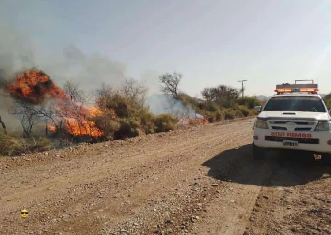 Screenshot_20240919-201004-259