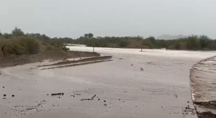 Screenshot_20251207-113917-011