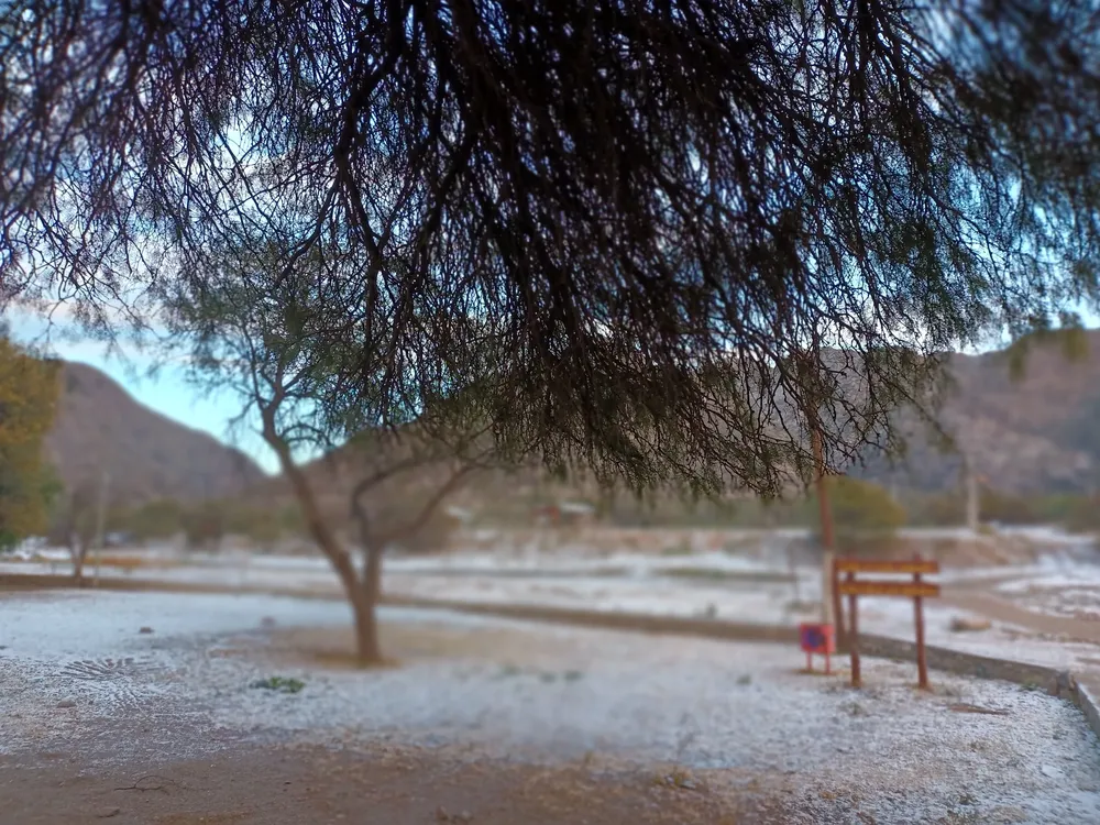 IMG_20250630_090516623_MF_PORTRAIT