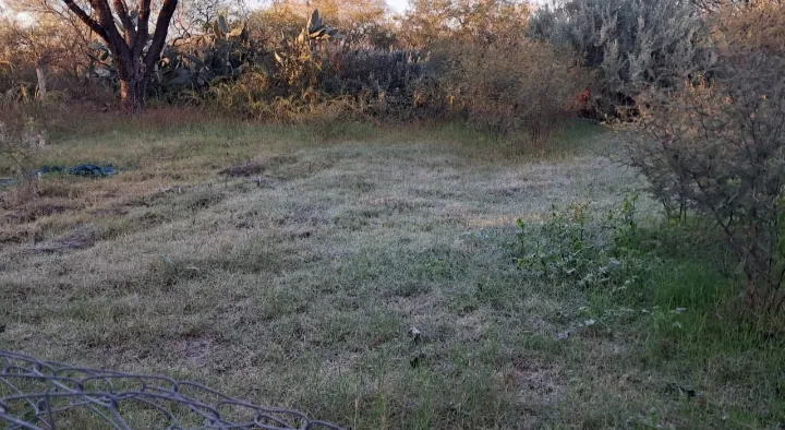 Screenshot_20250528-095321-736