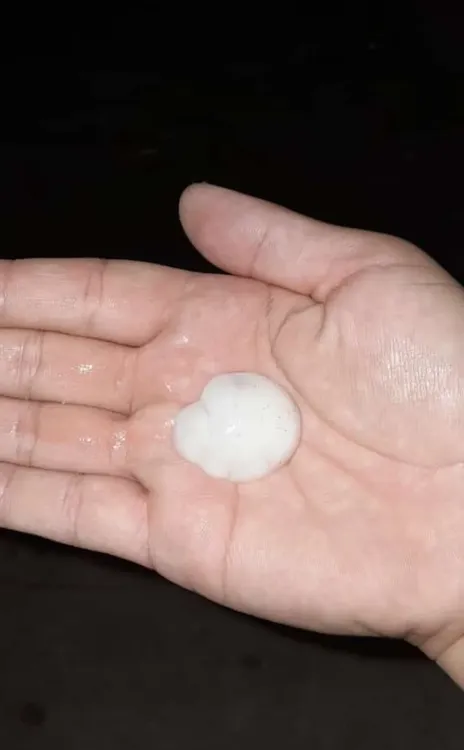 Screenshot_20241031-214423-133