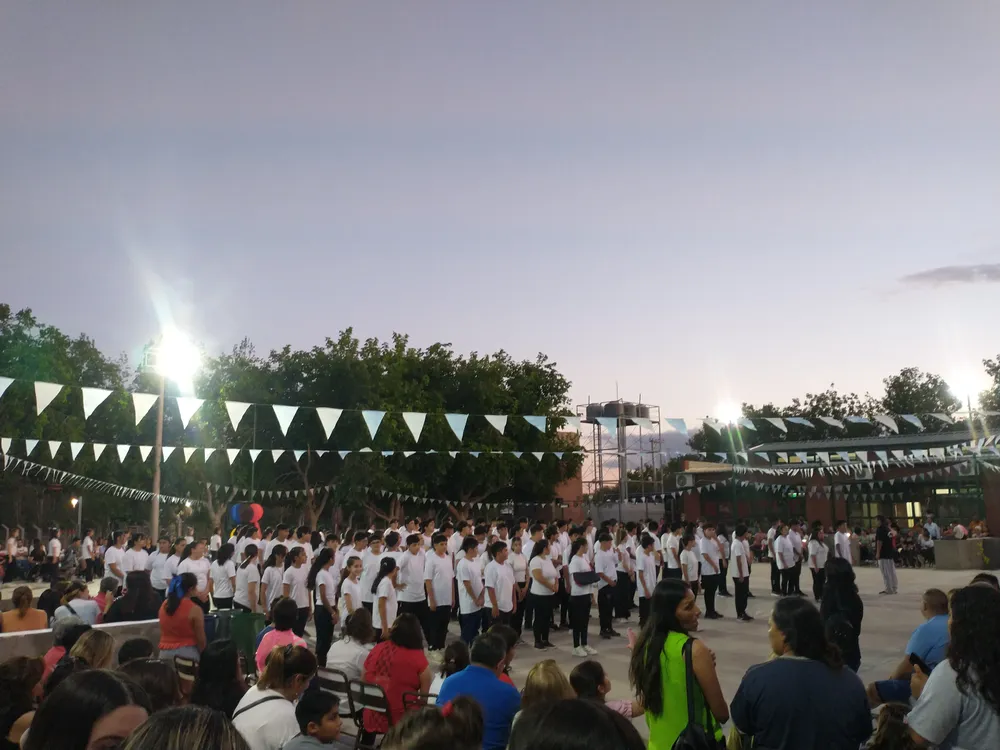 IMG_20241122_202530957