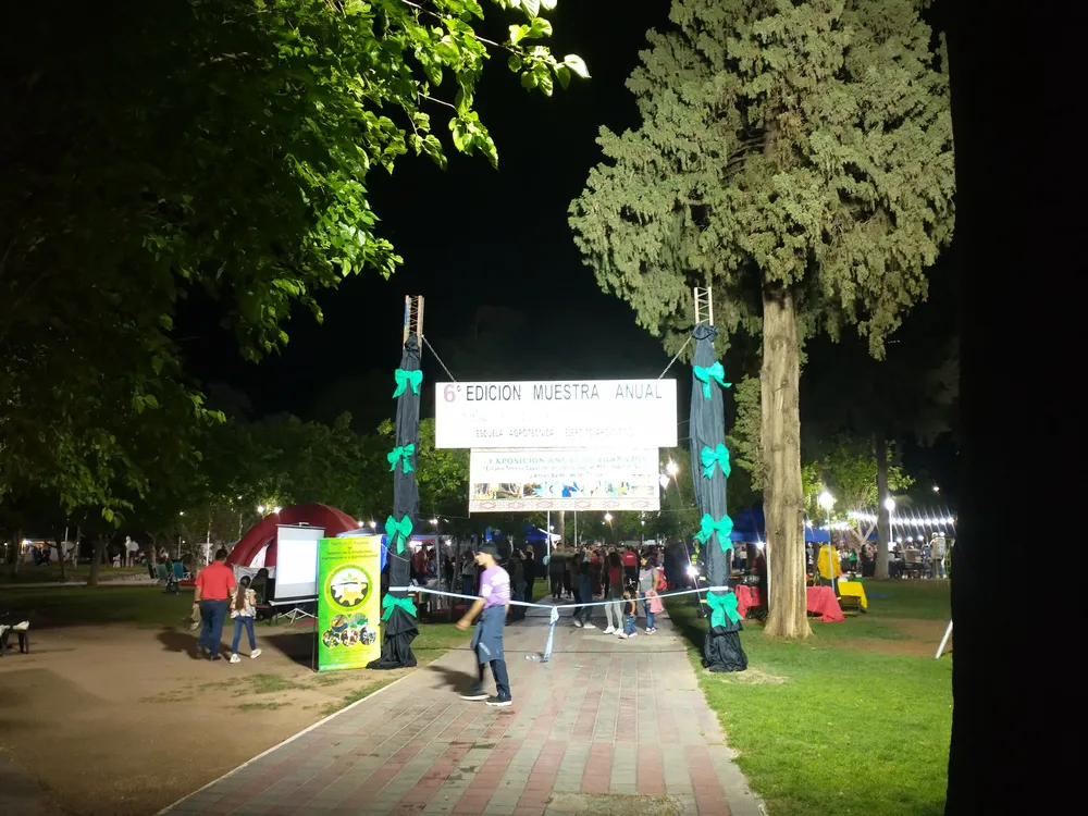 IMG_20241108_204555218_HDR