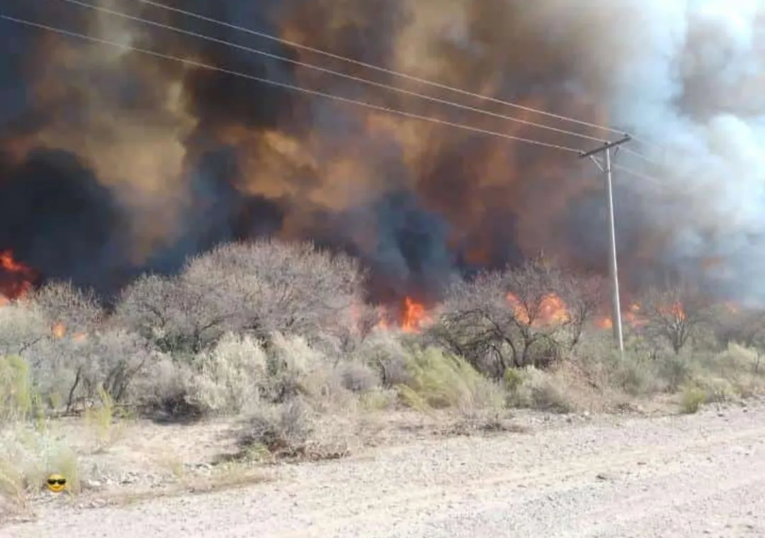 Screenshot_20240919-201022-167