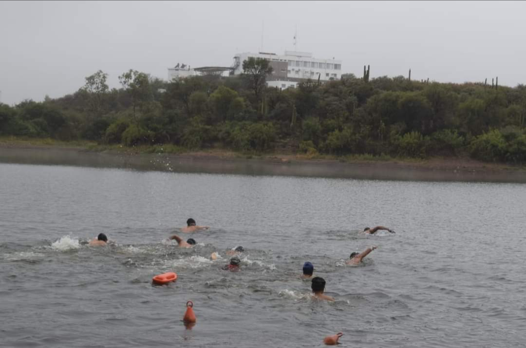 Screenshot_20240412-164223-166