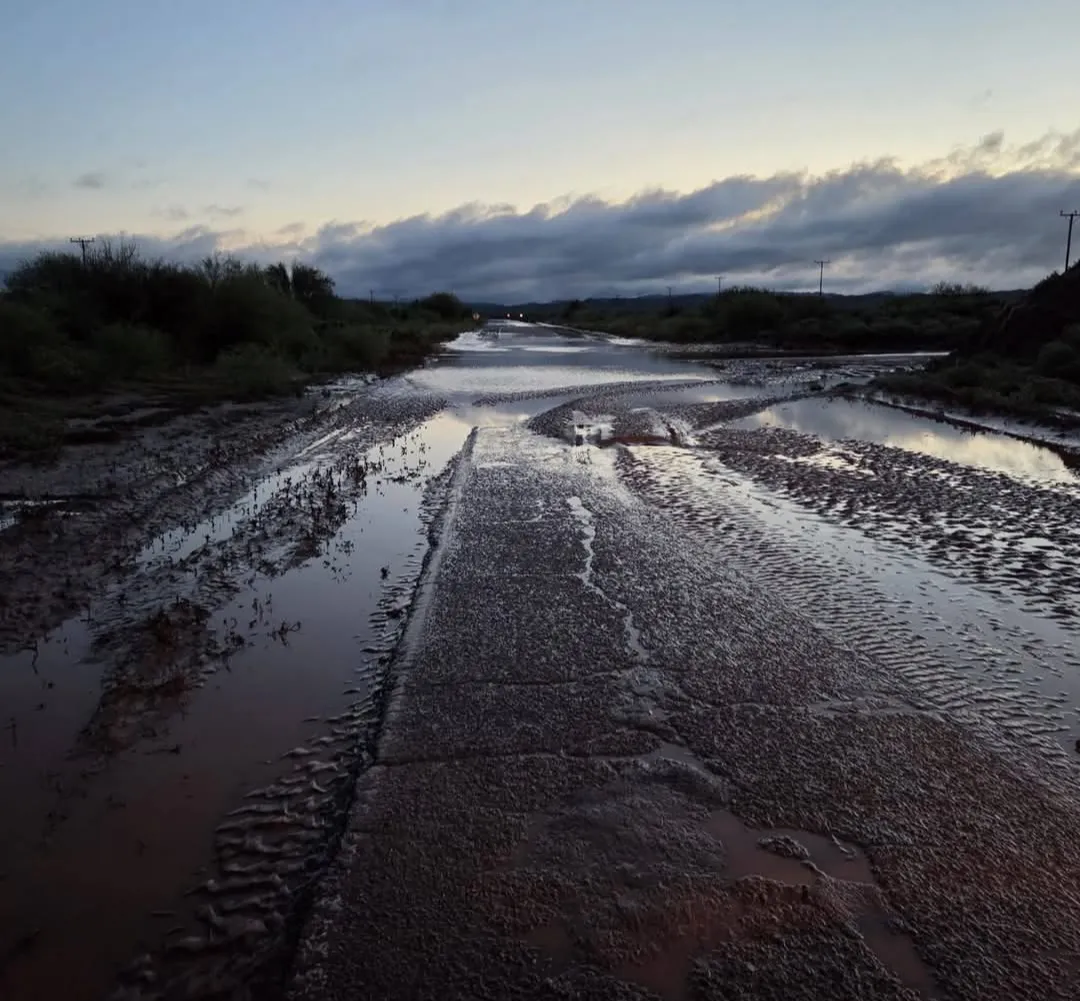 Screenshot_20260222-120157