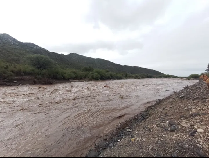 Screenshot_20250128-150147-447