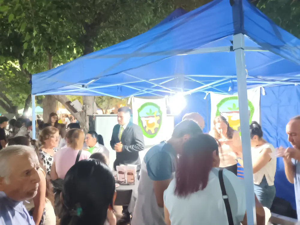 IMG_20251117_220830627