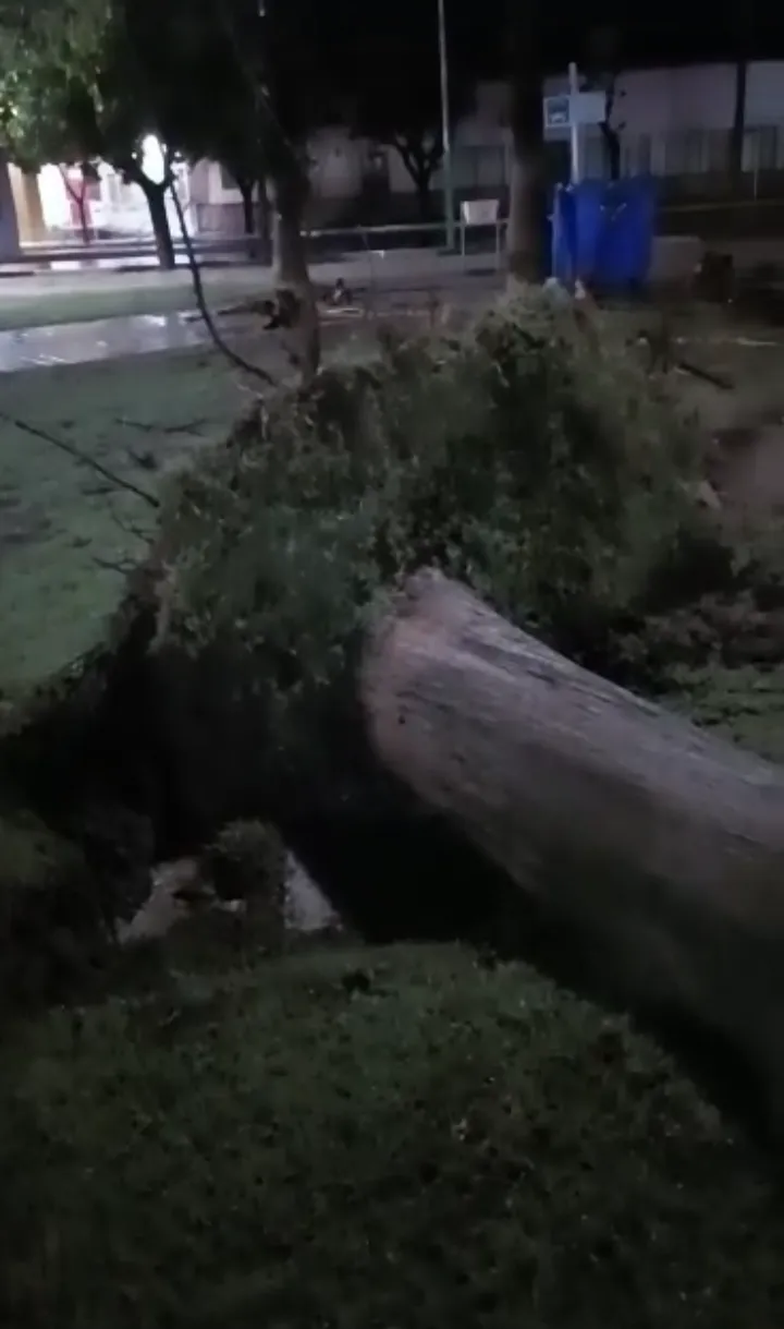 Screenshot_20250302-074727-667