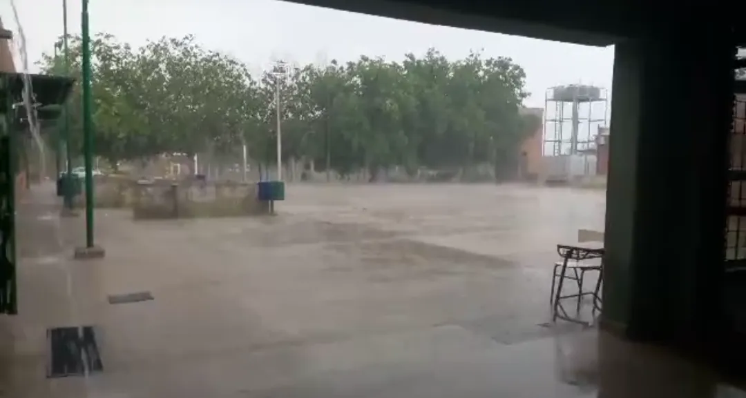 Screenshot_20241017-143126-188