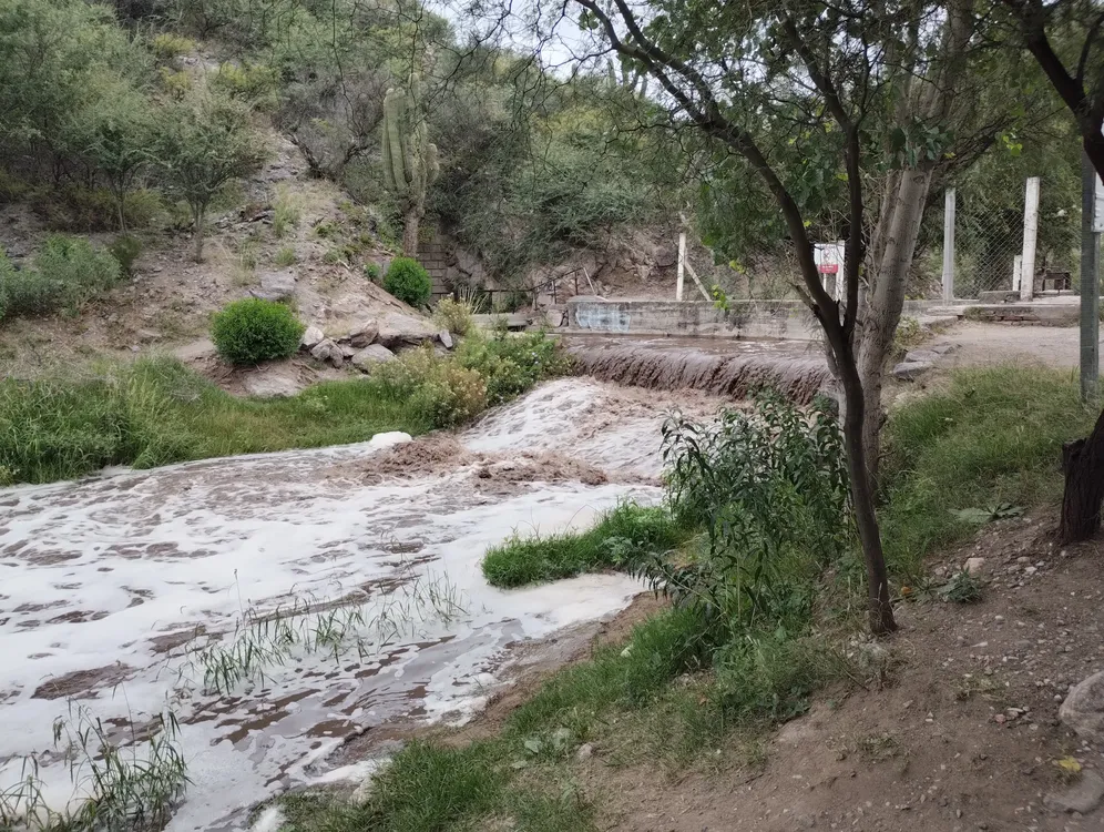 IMG_20260305_091210665