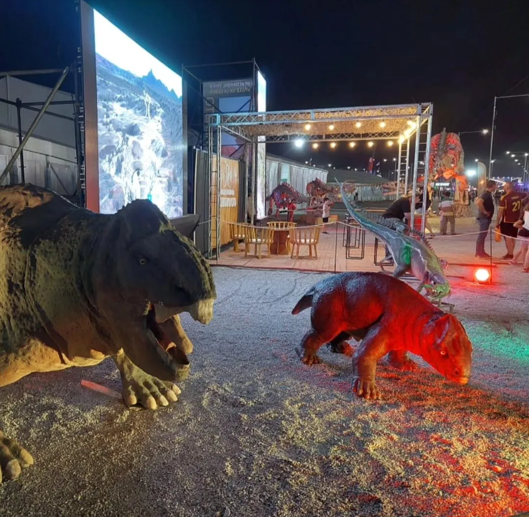 Screenshot_20241101-234156-810